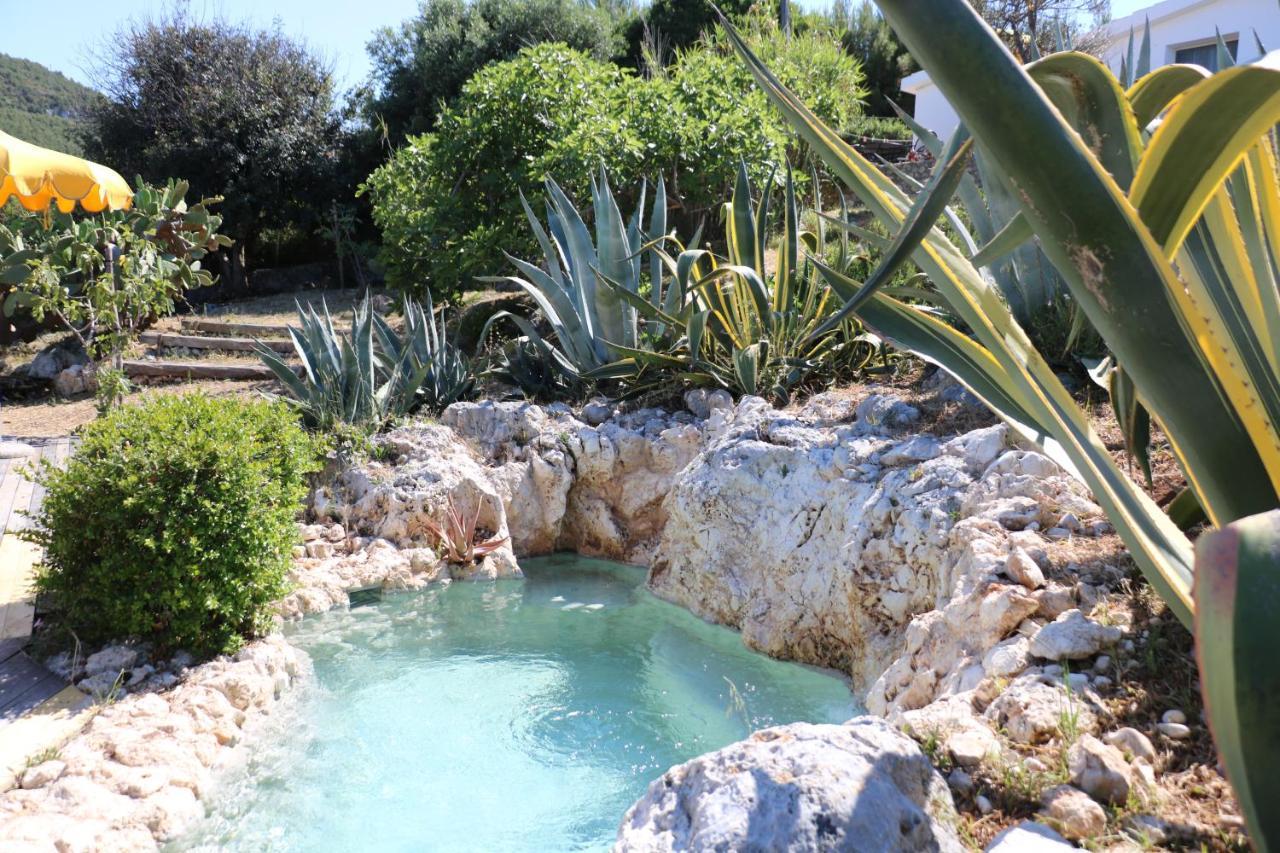 Albergo"Villa Biscotti" Peschici Dış mekan fotoğraf