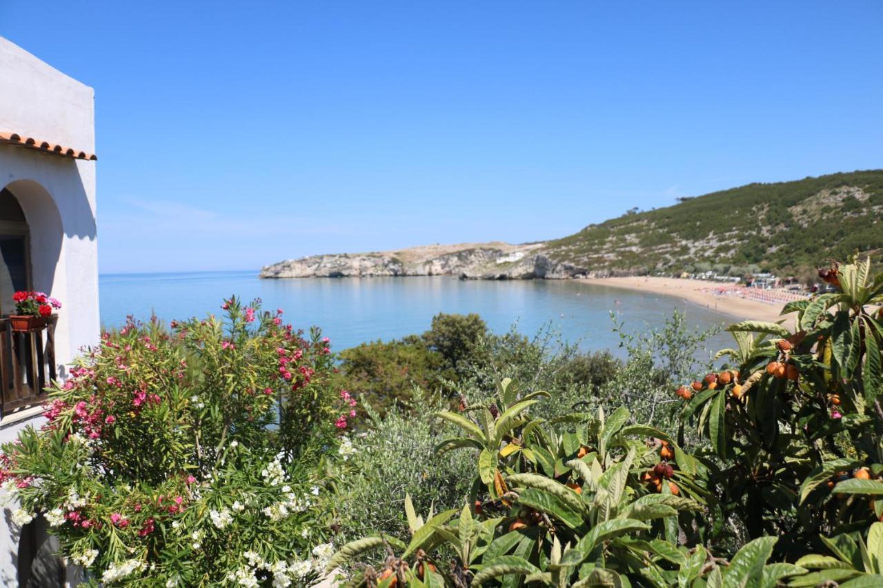 Albergo"Villa Biscotti" Peschici Dış mekan fotoğraf